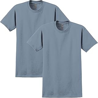 Ultra Cotton Tshirt, Style G2000 2-Pack, Stone Blue (2-pack)