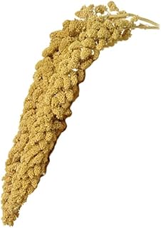 Birds LOVE Spray Millet – 9 oz GMO-Free, No Stems (Only Edible Tops) – Healthy Treat for Parakeets, Cockatiels, Finches, Canaries & Lovebirds