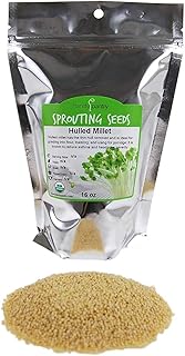Handy Pantry Organic Hulled Millet Seeds 16 oz – Non-GMO Whole Grain for Flour, Beer Brewing, Bird Seed & Emergency Food Storage